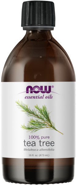 Get the newest Now Essential Oil Tea Tree 16oz Now Foods for great prices
